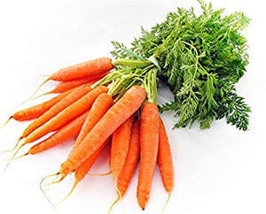 Tendersweet Carrot Seeds 1 ounce