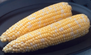 AMBROSIA BI-COLOR SWEET CORN 1/2 LB.