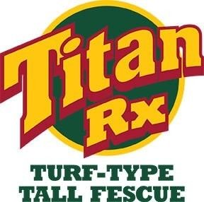 Titan Rx -Turf Type Tall Fescue